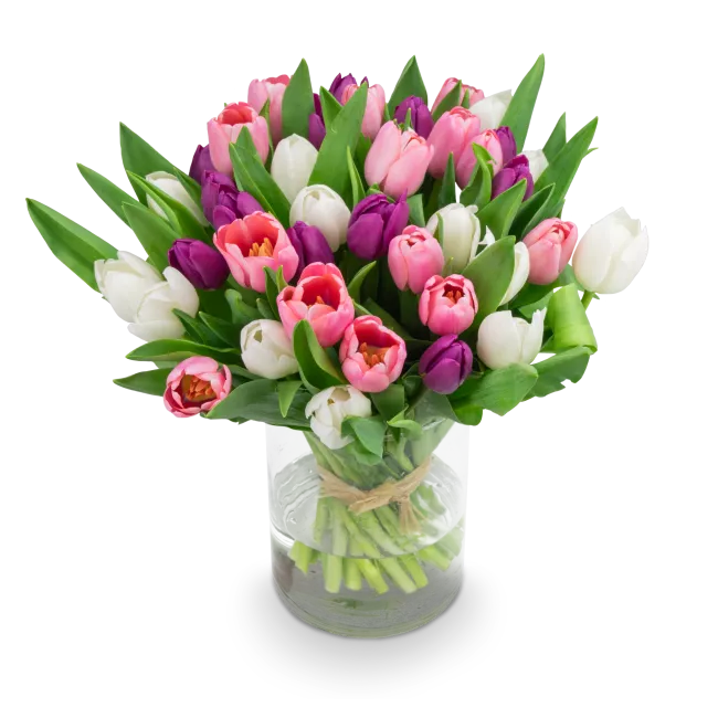 Kytice tulipánů